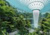 Biophilic Design – Xu hướng thiết kế gắn kết thiên nhiên trong kiến trúc hiện đại Biophilic-Design-la-gi