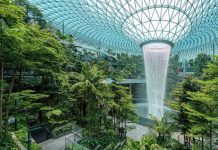 Biophilic Design – Xu hướng thiết kế gắn kết thiên nhiên trong kiến trúc hiện đại Biophilic-Design-la-gi