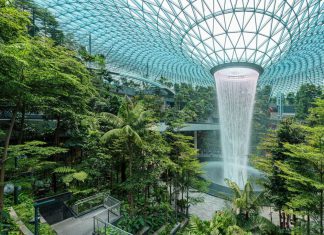 Biophilic Design – Xu hướng thiết kế gắn kết thiên nhiên trong kiến trúc hiện đại Biophilic-Design-la-gi