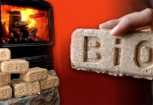 Gạch sinh học Biobricks là gì? Vật liệu xây dựng xanh của tương lai