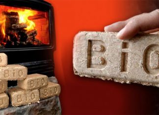 Gạch sinh học Biobricks là gì? Vật liệu xây dựng xanh của tương lai
